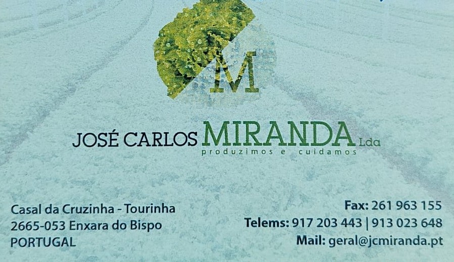 José Carlos MIRANDA, Lda